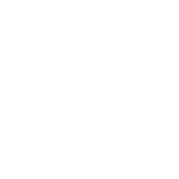 Global Standards