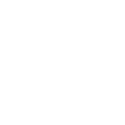 Self-Learning