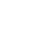 Developing the ERP