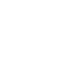 Multi-Device, Multi-Language
