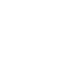 Client Governance