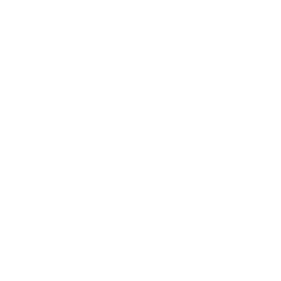 Secure Engineering