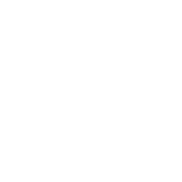 Public Business Data Focus