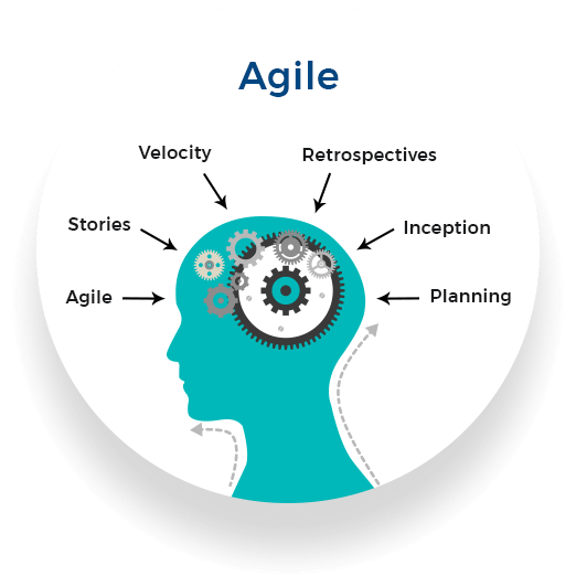 development-model