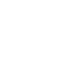 Web App Developers