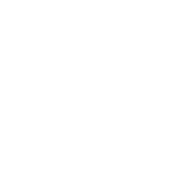 Flexible Engagement Models