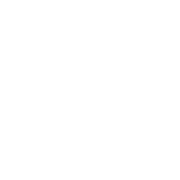 Cost-Effective & High-Quality Delivery