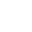 Custom Web & Mobile App Development