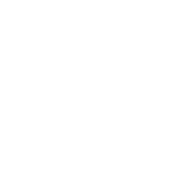 Project Manager