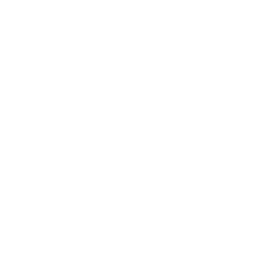 QA (Quality Assurance)