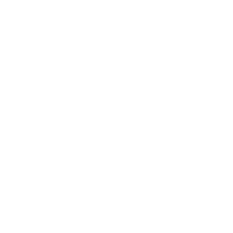 UI/UX Development