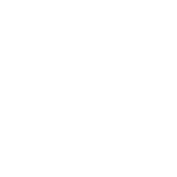 Custom PHP App Development