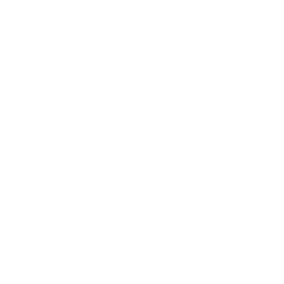UI/UX Development