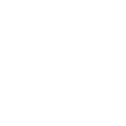 SaaS-based Application Development