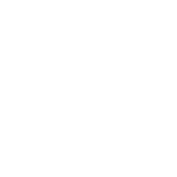Real-Time Price Monitoring Solutions