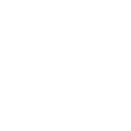 Brand Sentiment Monitoring