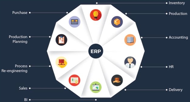 5 Tips To Develop a Web Based Custom ERP System