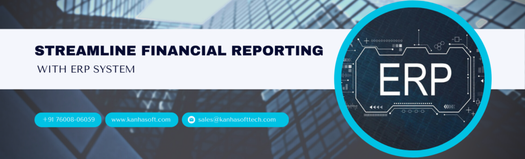 Financial Reporting ERP Software Development