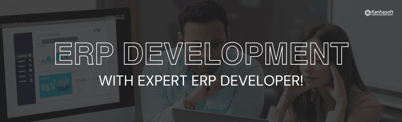 ERP Developer